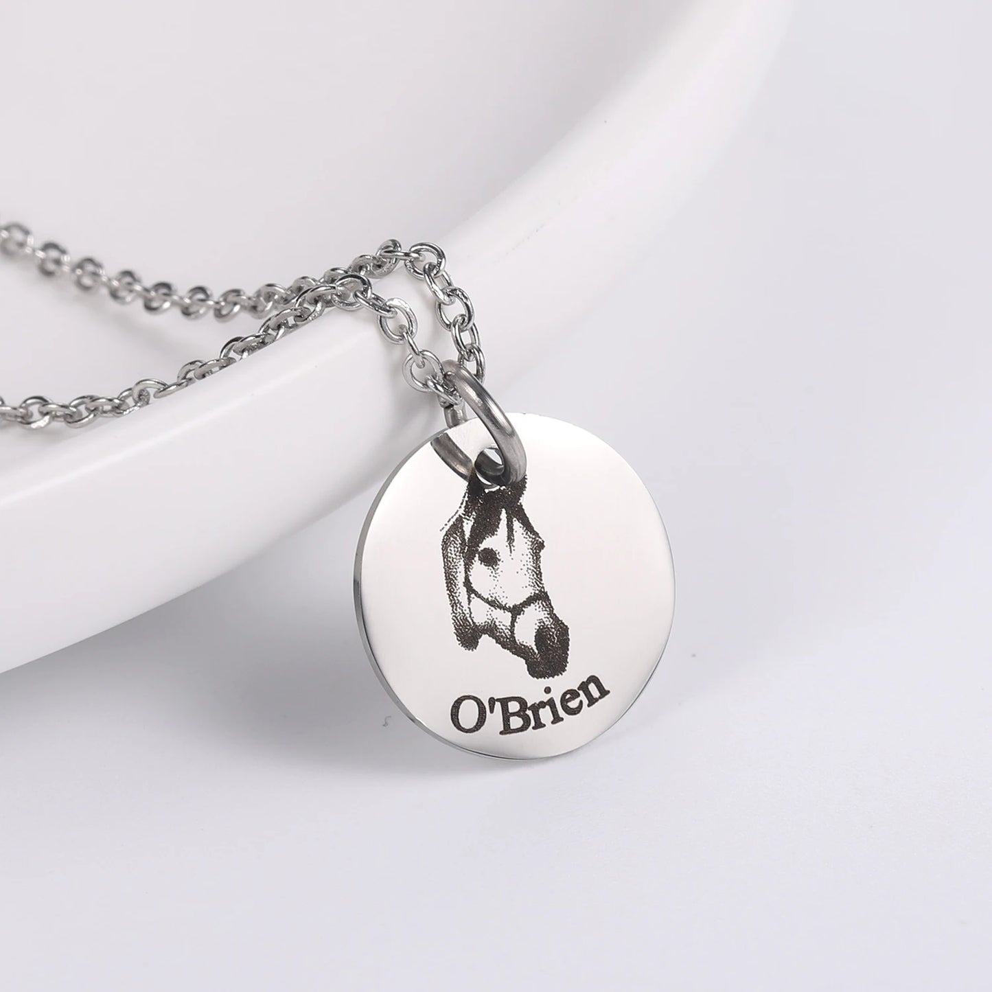 Personalized Pet Photo Disc Necklace for Women Tiny Cat Name Pendant Necklaces Custom Animal 316L Stainless Steel Jewelry Mom